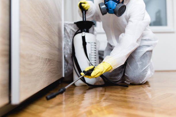 Best Insect Control  in Hardwick, GA