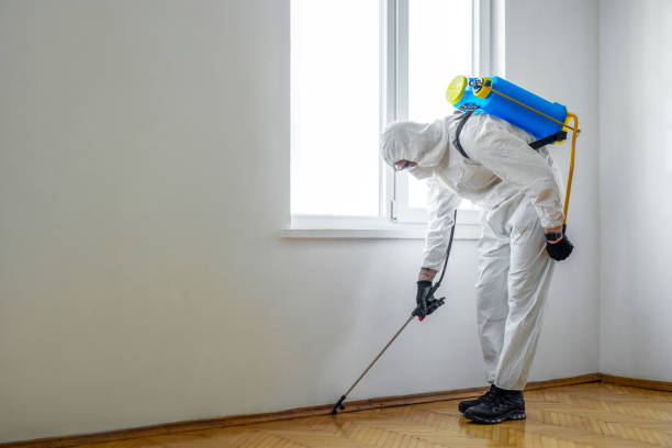 Best Ant Control Services  in Hardwick, GA